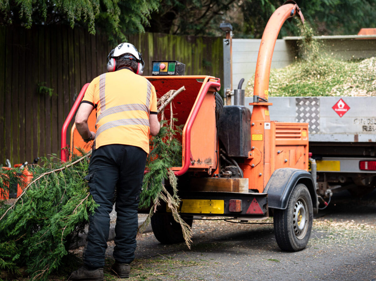 Male Arborist using a working wood chipper machine.The tree surgeon is wearing a safety helmet with a visor and ear protectors.