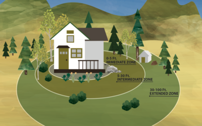 A Handy Guide to Sustainable Defensible Space