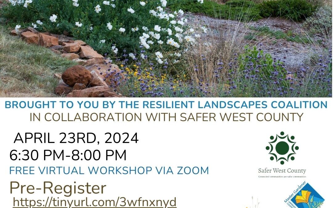 Resilient Landscaping Workshop Recap