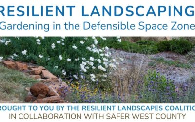 Resilient Landscaping Workshop Recap