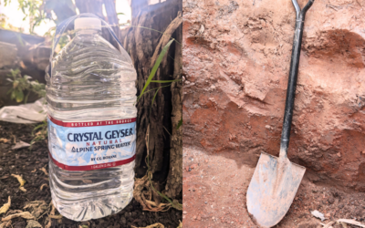 What a Shovel and a Gallon of Water Have in Common…