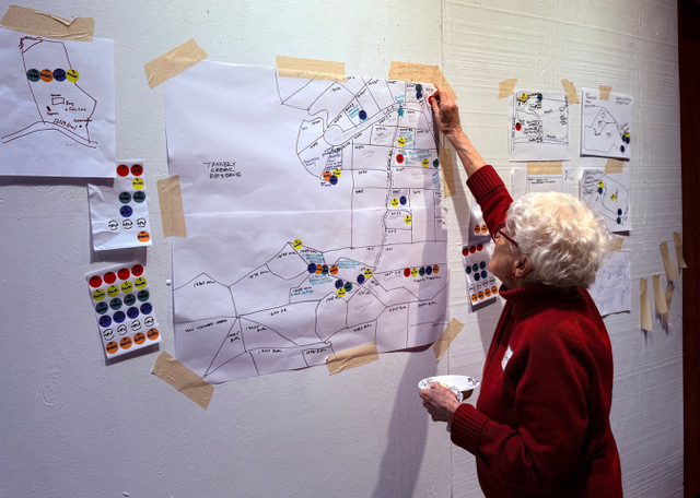 The Impact of Community Meetings & Neighborhood Groups